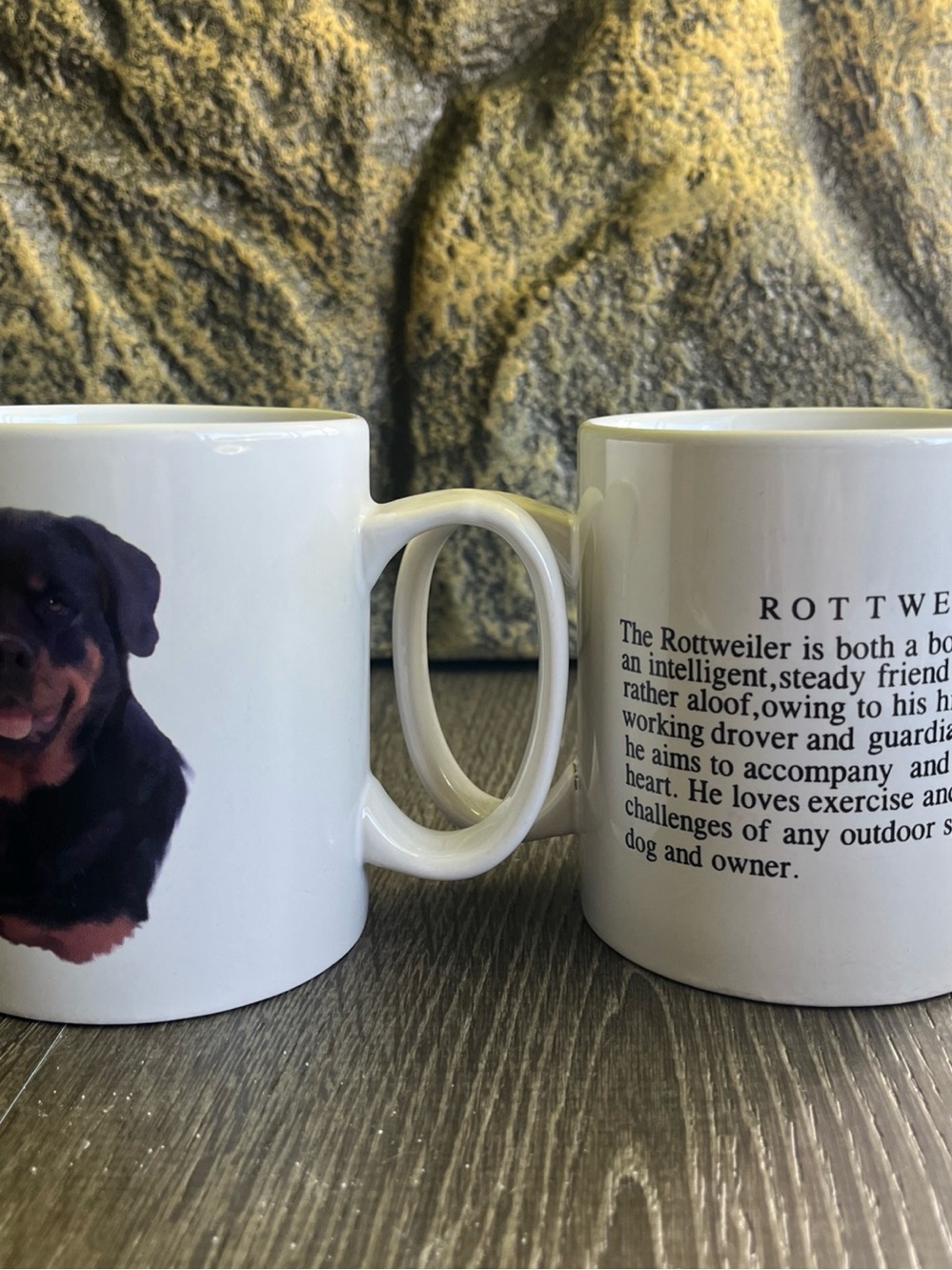 2-Rottweiler Vintage Ceramic Mug - White